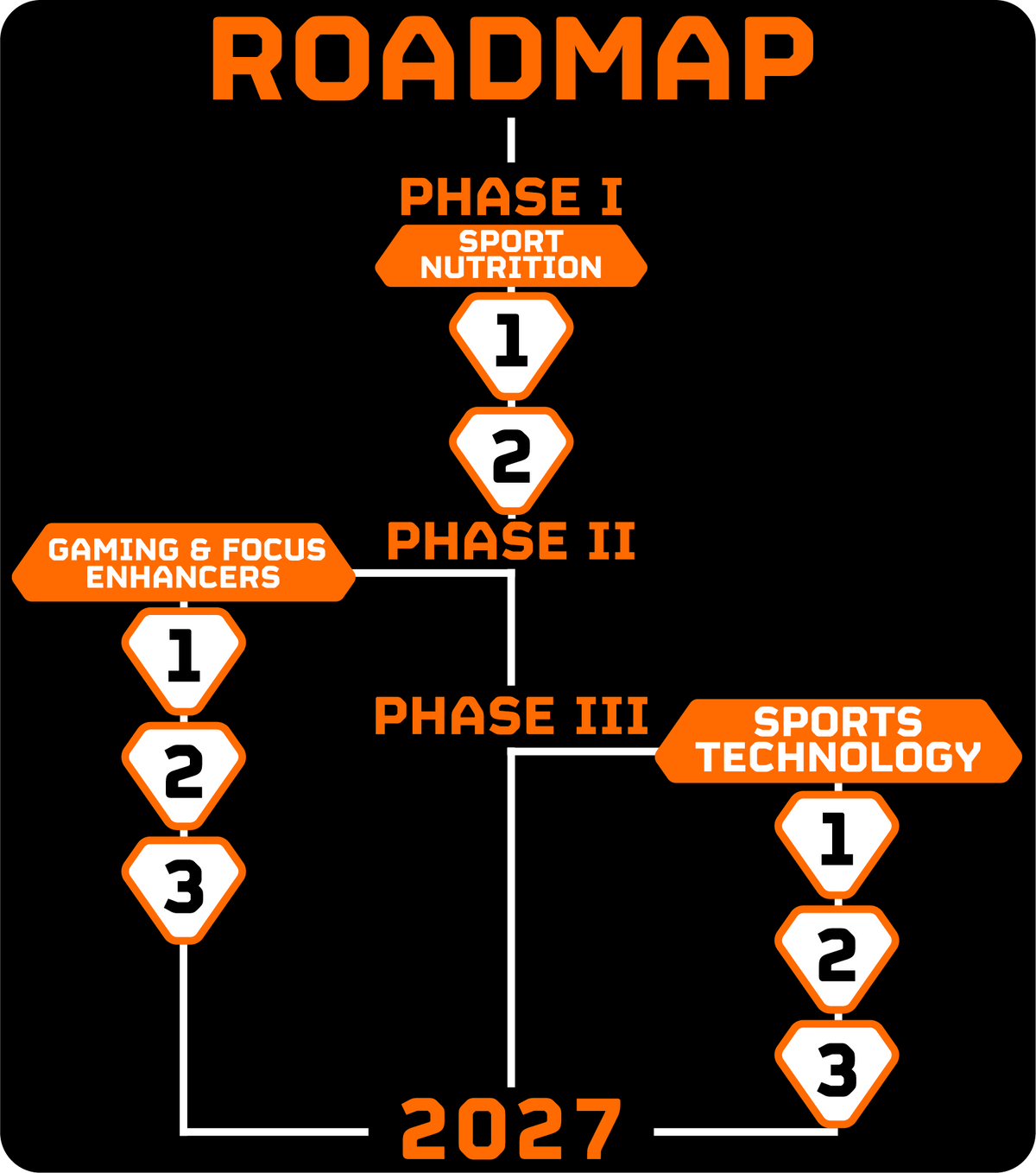 Roadmap Map