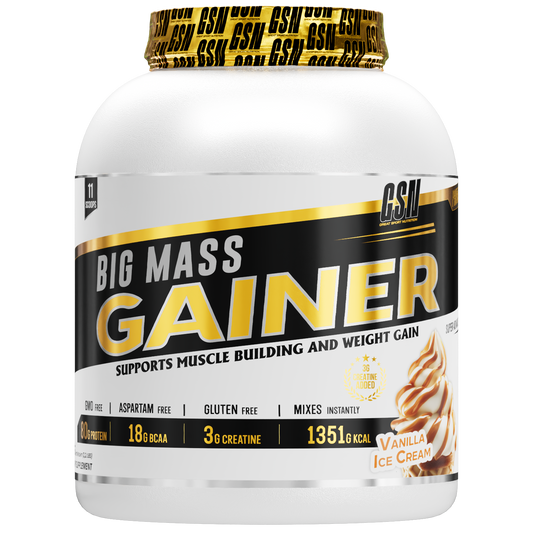 BIG MASS GAINER 3KG